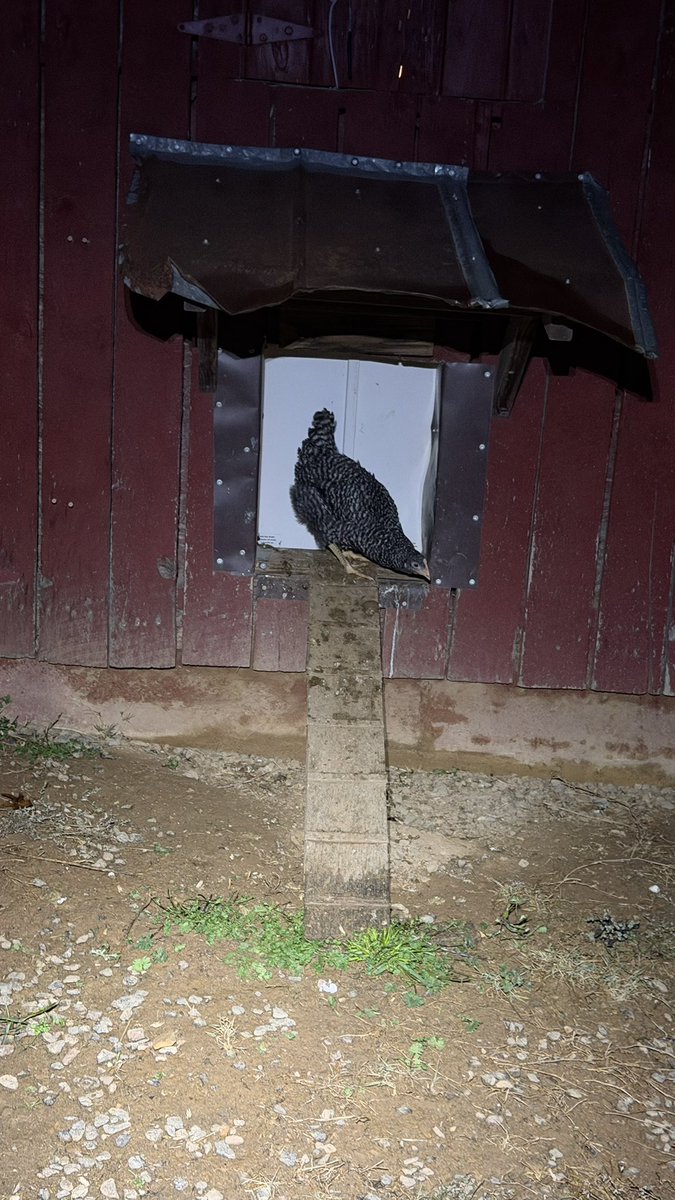 TheUberGuy tweet media