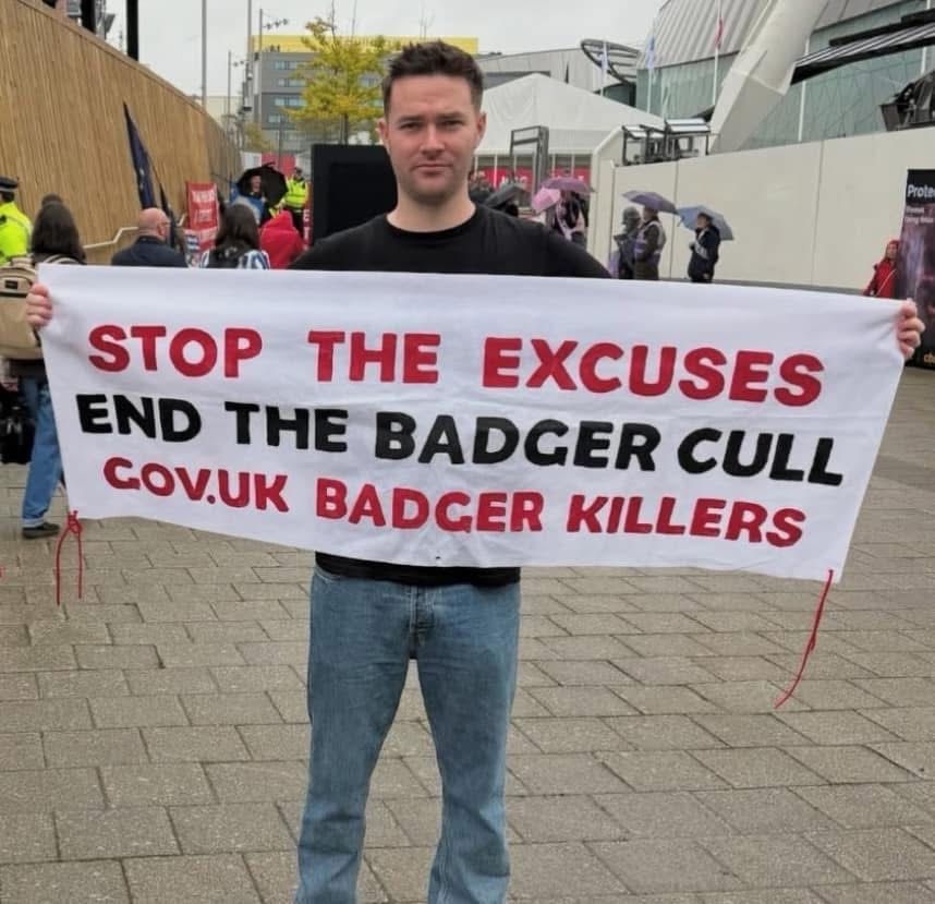 ProtectTheWild_'s tweet photo. There’s still a final badger cull happening in Cumbria next year. Despite the fact everyone knows badger culling has done nothing to tackle TB in cattle. https://t.co/vSMrpFUUVI