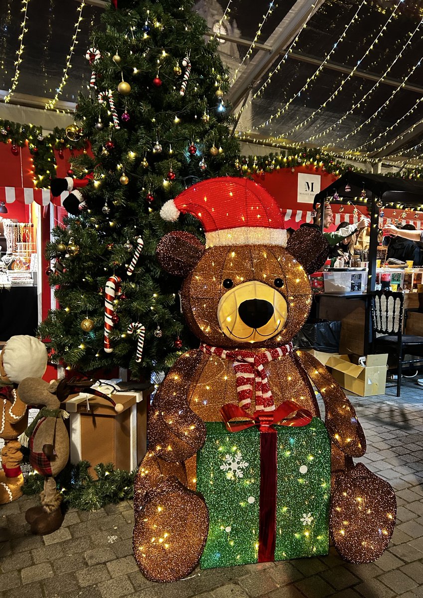 yılın en sevdiğim zamanı ☃️❄️✨