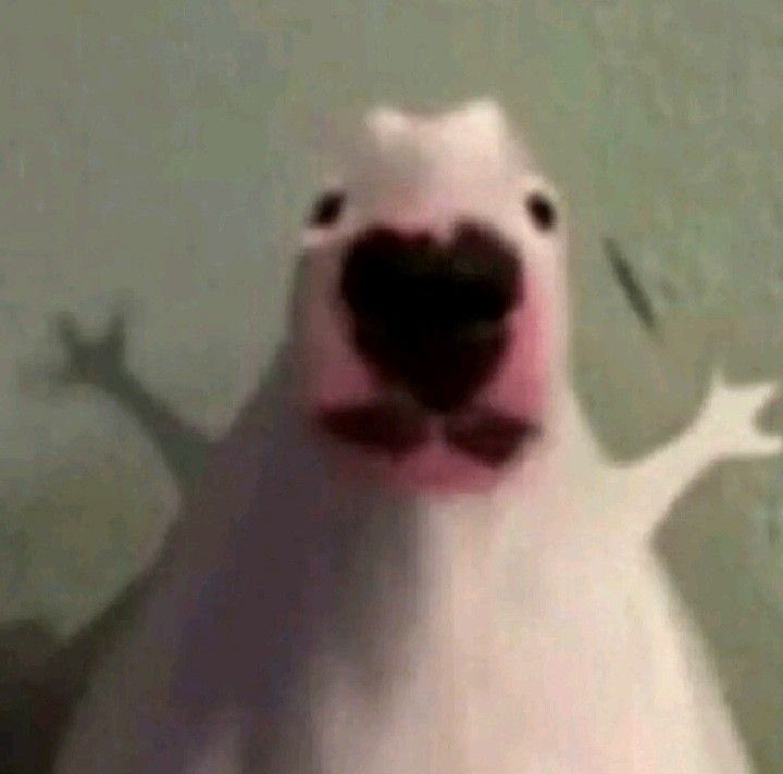 sylunh's tweet image. Remodelé mi perfil