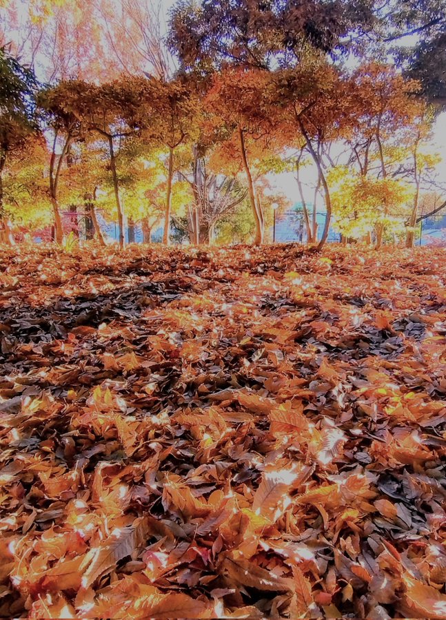 \[V}KWwRXfBAhbgR!!x:ŐV𐏎XV!!