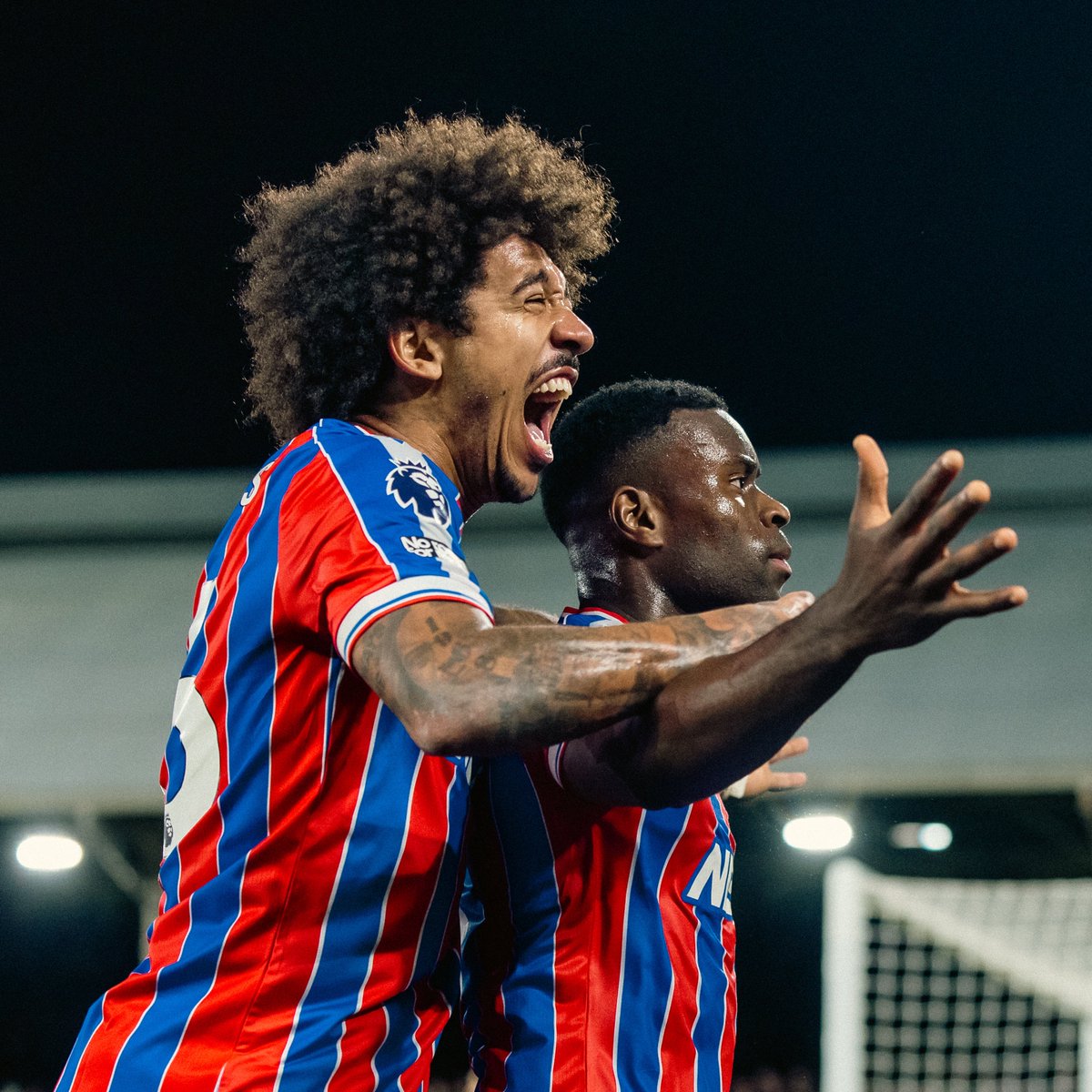 What a picture this is 🤌