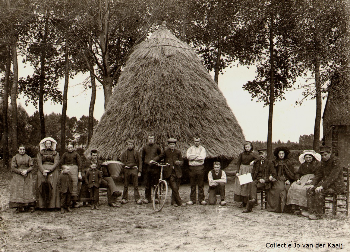 Het Groene Woud tweet media