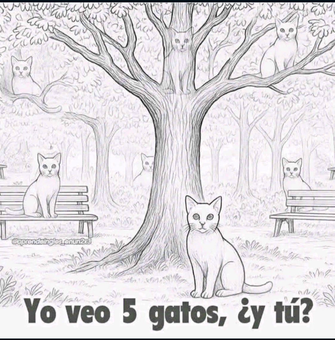 Dr. Alberto Blázquez tweet media