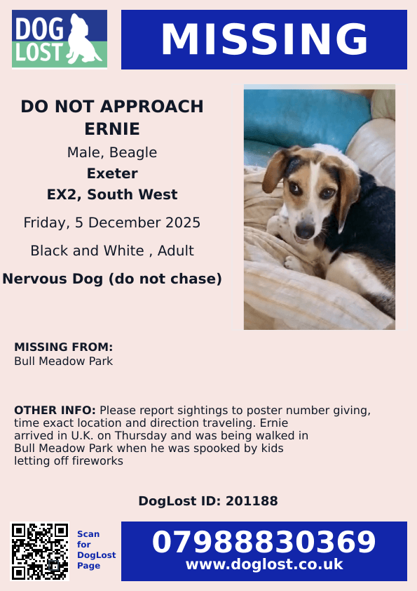 millypod1's tweet photo. 🆘5 DEC 2025 #Lost ERNIE #ScanMe
Beagle Male Nervous Dog (do not chase)
Bull Meadow Park #Exeter #Devon #EX2
https://t.co/FNnyZYizbC https://t.co/ilShi0en39