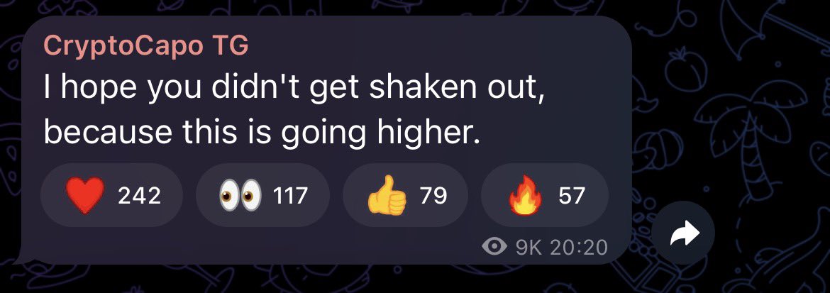 Capo is bullish 👀 
This time it might be truly over for us…