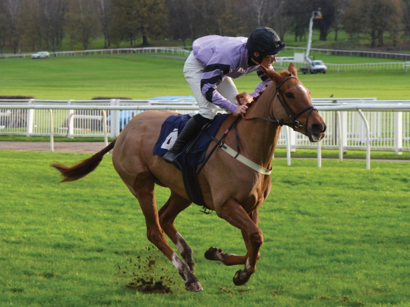 Owners Group tweet media