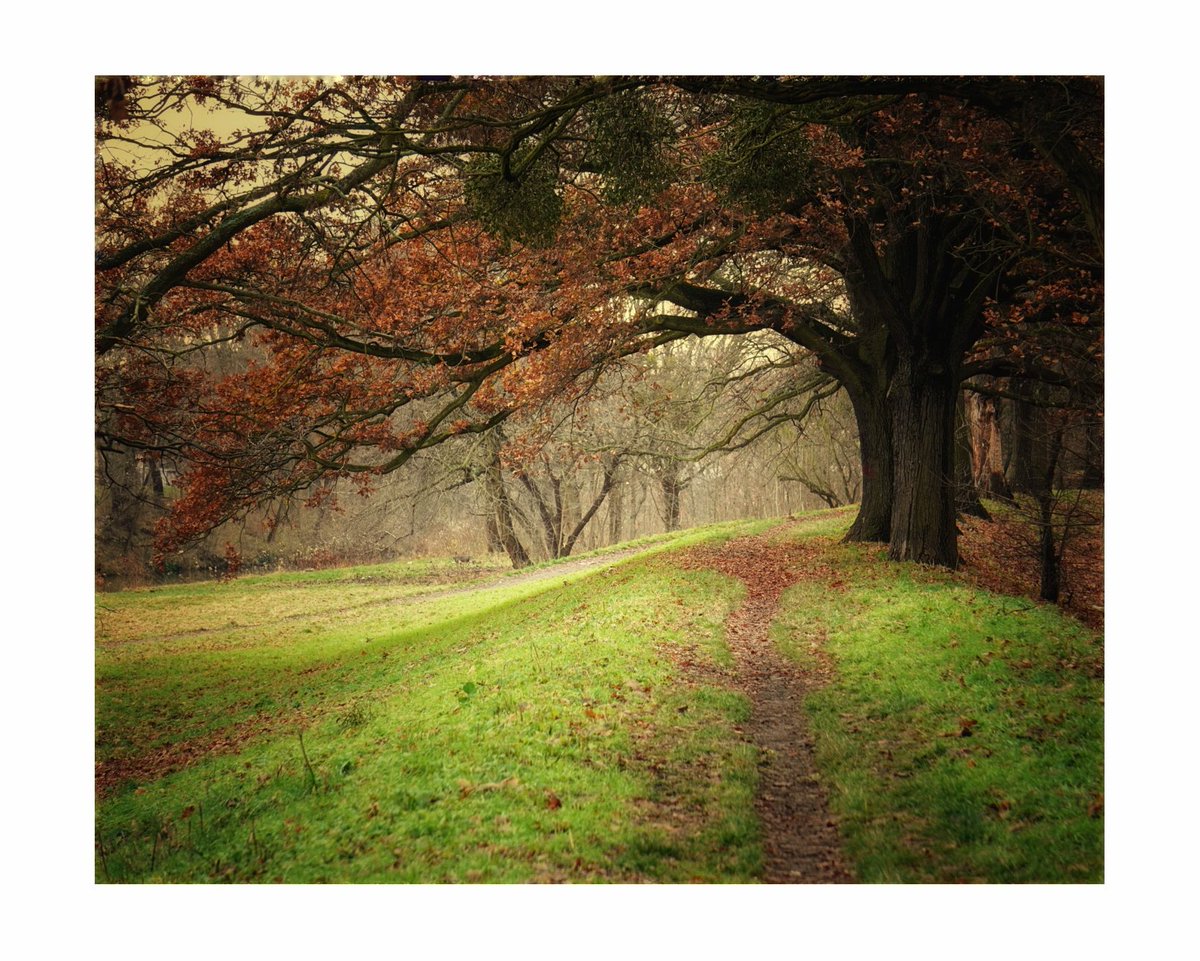 A walk along the river in the City of 100 Bridges...