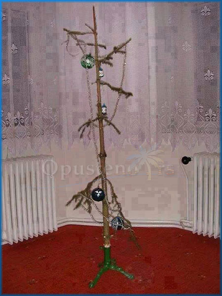 Okićeno u skladu sa okolnostima...🎄