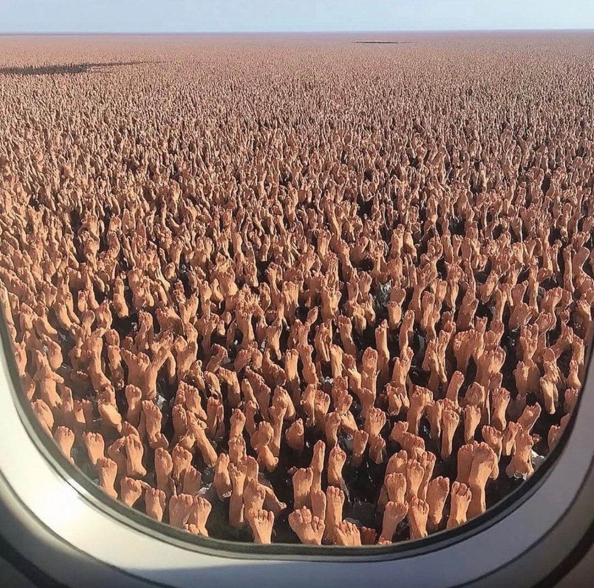 Can you guess what’s happening here? Only funny answers