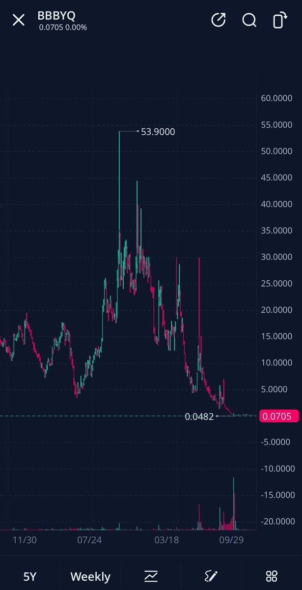GoldBee 🍭🍿🦋🐰🪫 tweet media