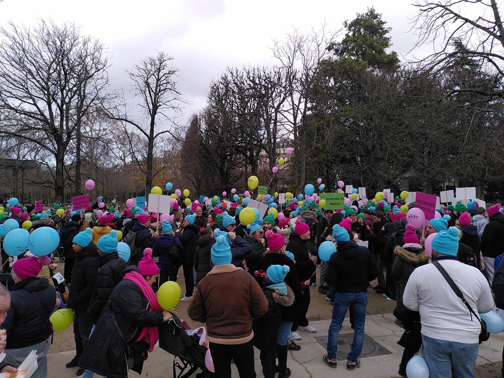 ancc.asso.fr tweet media