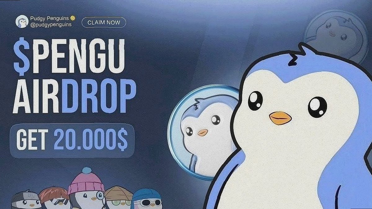 SolDripFi's tweet photo. me: “just 5 mins on Solana”
also me: “why do I have $1k in penguins??” 🐧💸

$PENGU Airdrop is here 🪂
claim fast, early birds eat 🐦

👉 https://t.co/Wgao5s7htV

#Pengu #Solana #AirDrop #crypto #memecoin #wallet #sol #PumpFun #Pump https://t.co/m5hdSDB1bz