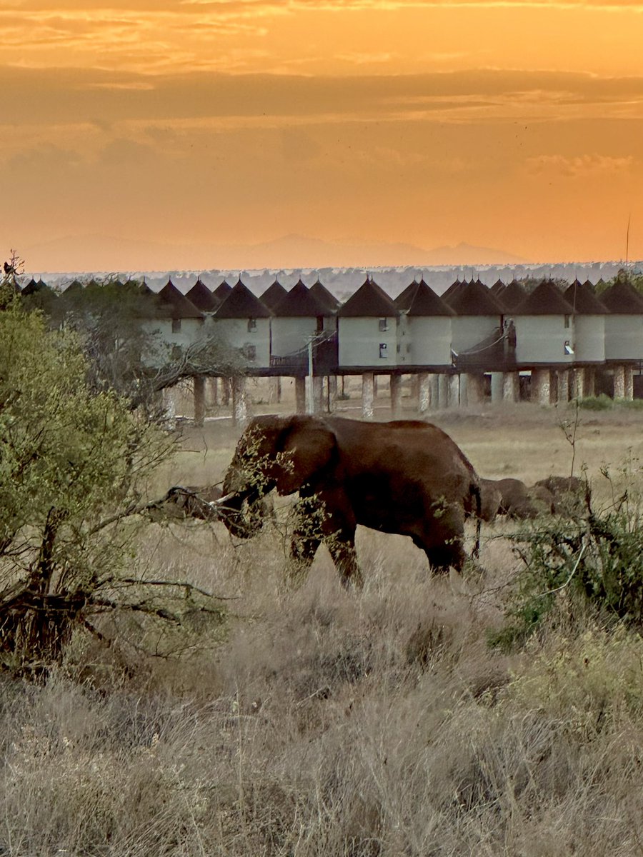 Ryan Champion tweet media