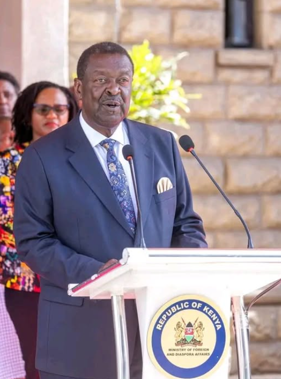 AfricanHub_'s tweet image. Ibrahim Traore is not a leader, a leader who has a gun on his waist and his table is not a leader ~ Kenya's minister of foreign affairs, Musalia Mudavadi

What do you think about this ...