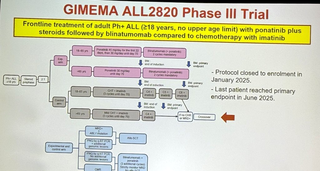Hematology Review tweet media