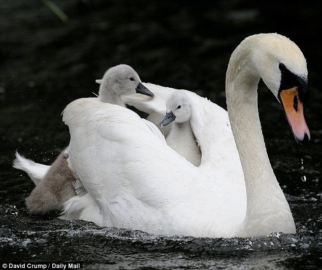 Yours Truly, Katie Shepard tweet media