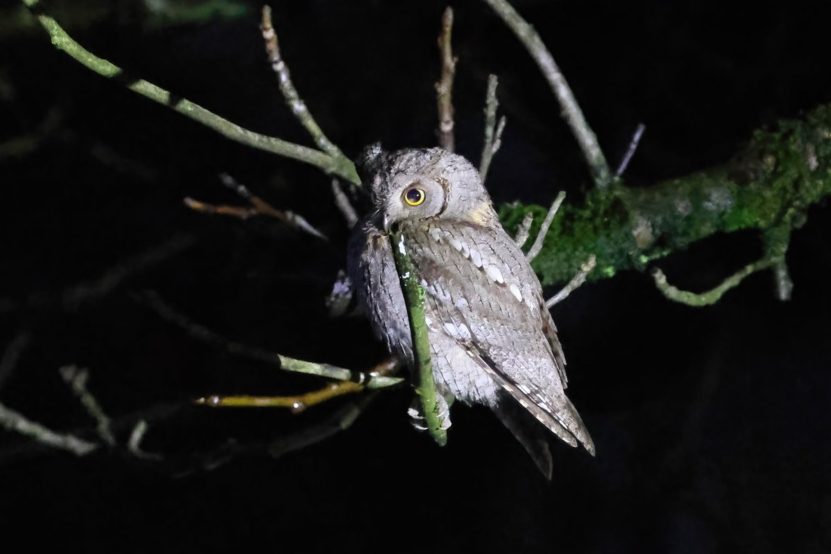 Lee Gregory tweet media