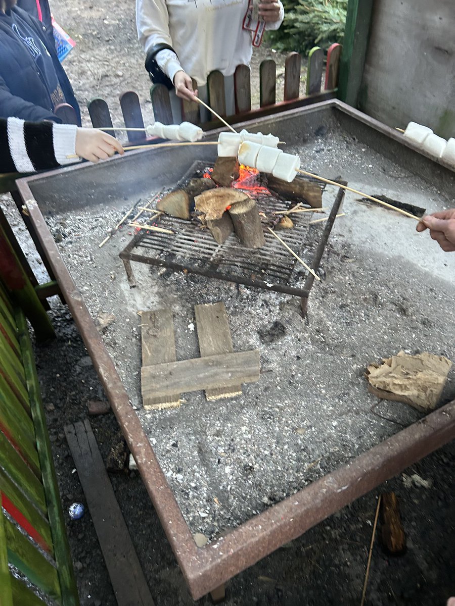 Great afternoon Christmas 🎄 hunting with <a href="/DonnaGriffiths_/">Donna Griffiths</a> <a href="/gfchristmastree/">Gowerfreshchristmas</a>