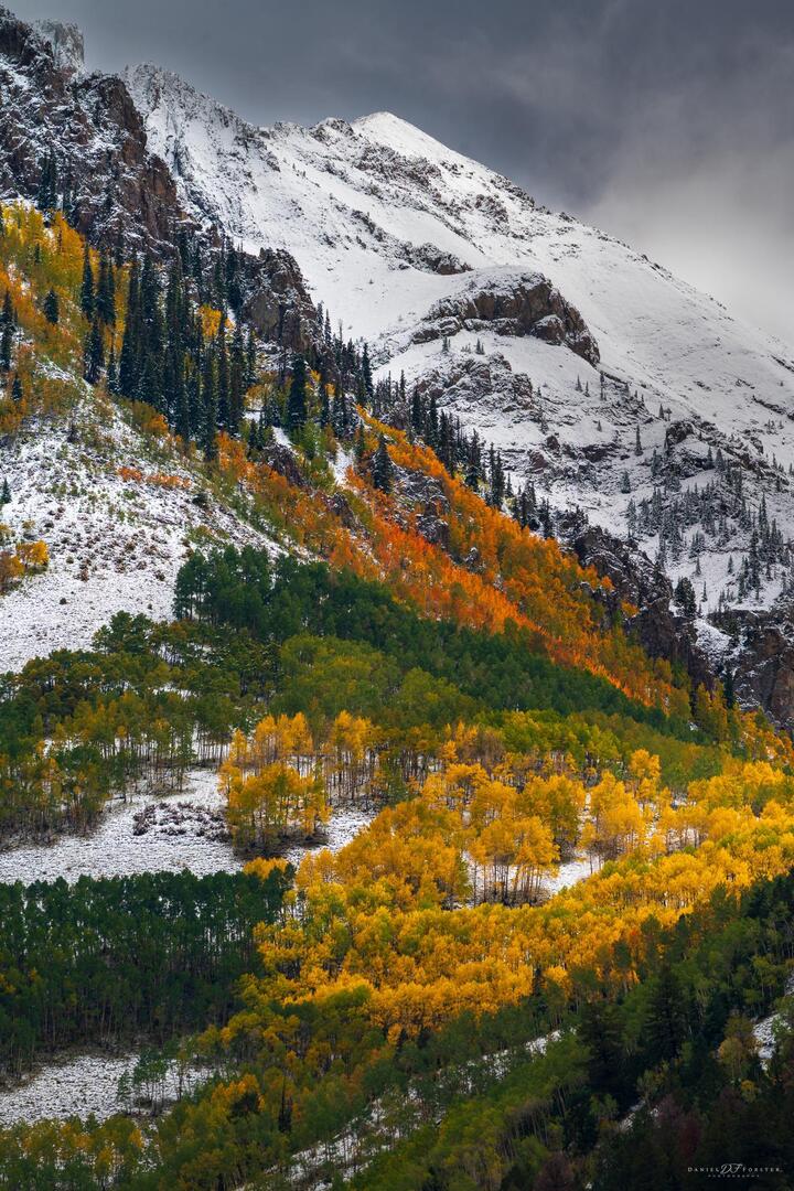 MovieNight_apps's tweet photo. Collision of seasons near Telluride, CO [OC] [1366x2048] via /r/EarthPorn https://t.co/65T497Vt5w

#photography #photooftheday #photographer #photoshoot #picoftheday #art #beautiful
#instagood #photo #nature #travelphotography
#landscapephotography #portraitphotography
#followm… https://t.co/NzDgtPzGKO