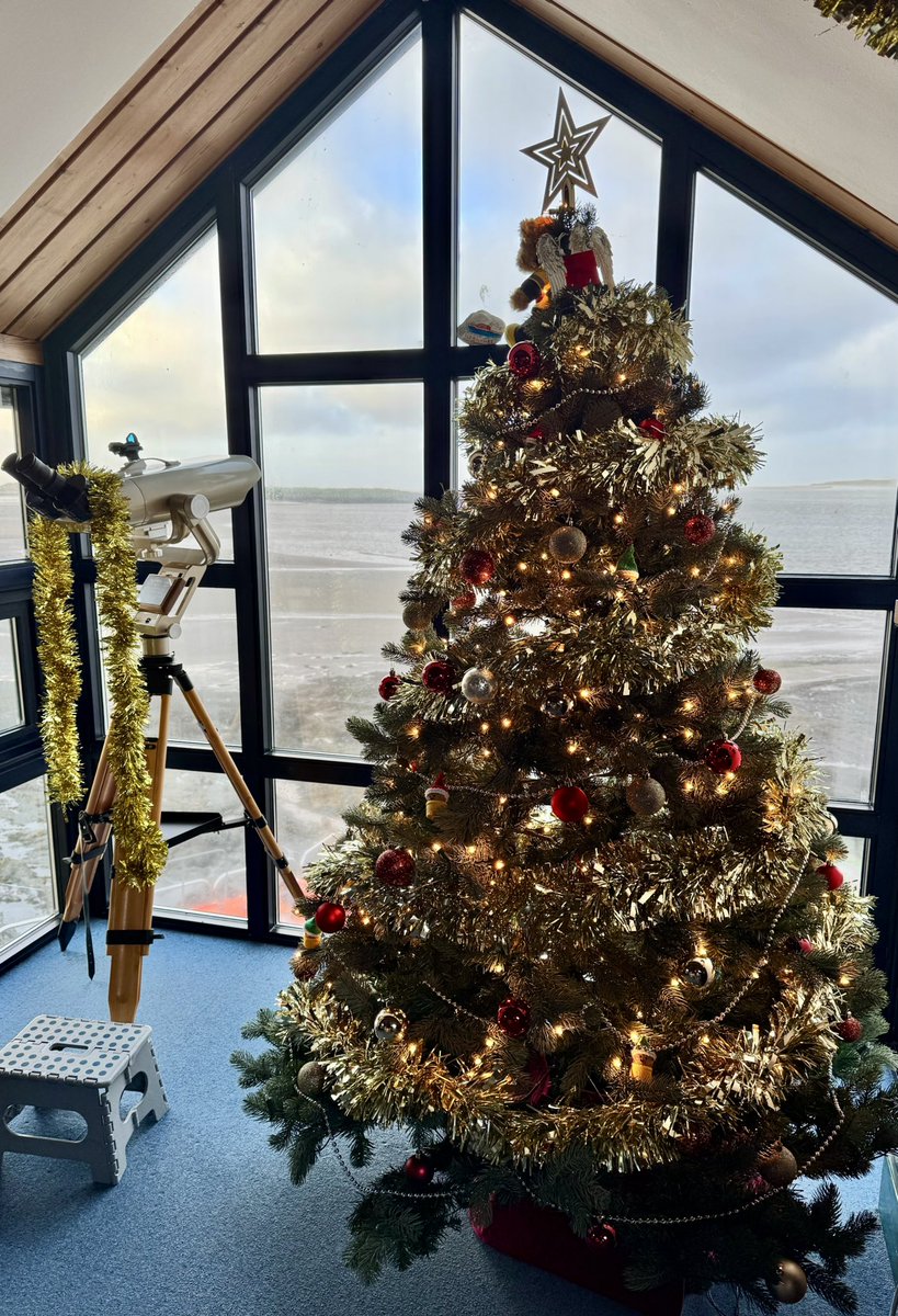 Roy Broad tweet media