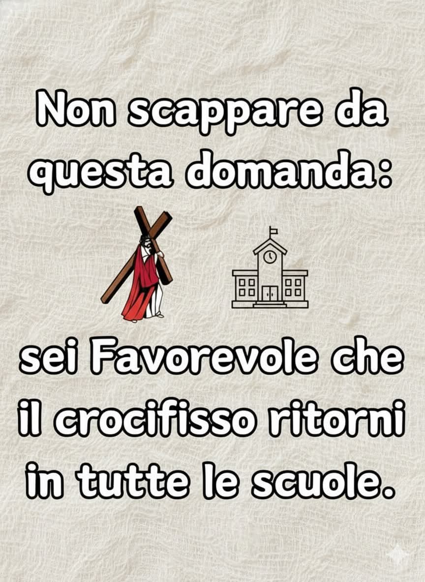 Doluccia 🦋 #credicisempre tweet media