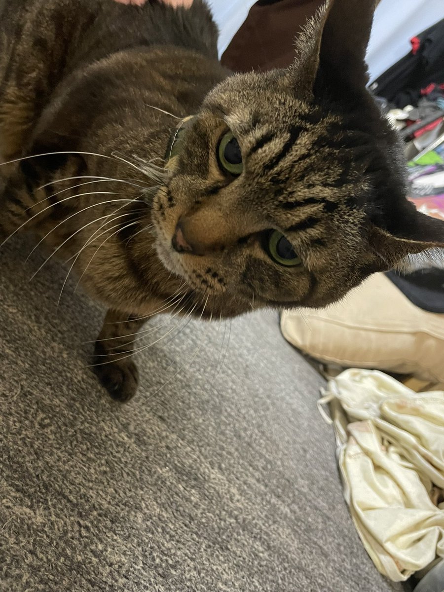 かやぽん (@kaya_0903) / Posts / X