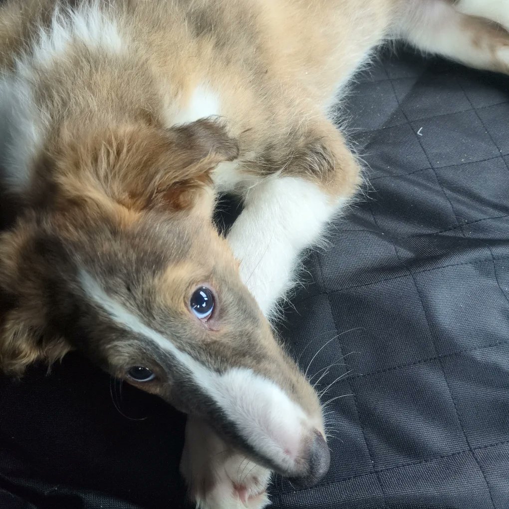 Its Trashae tweet media