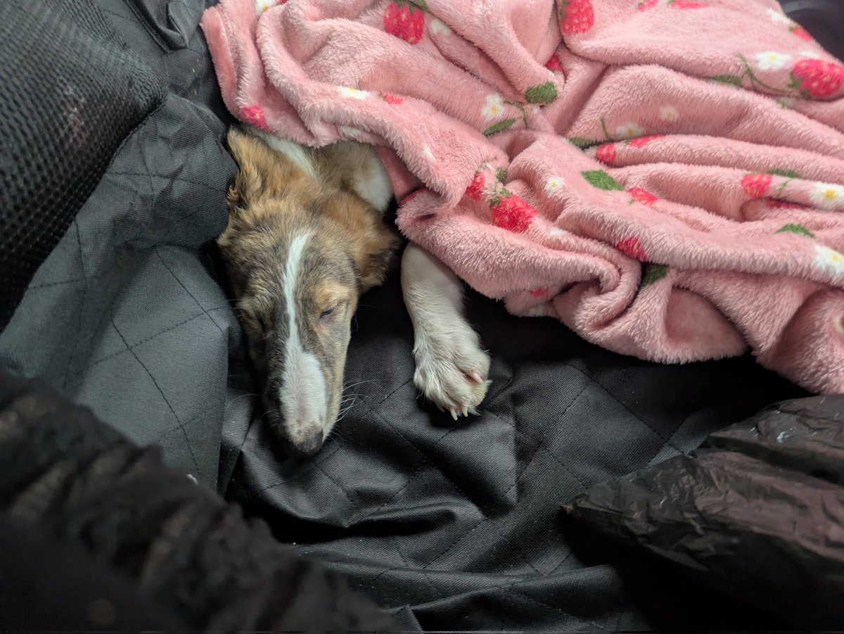 Its Trashae tweet media