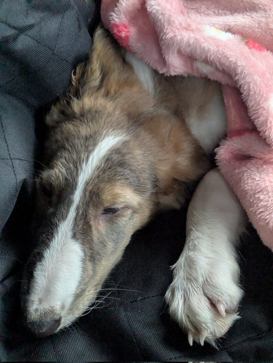 Its Trashae tweet media