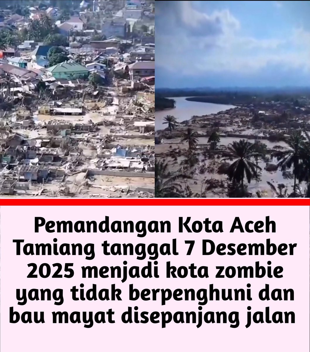 Thread Skandal tweet media