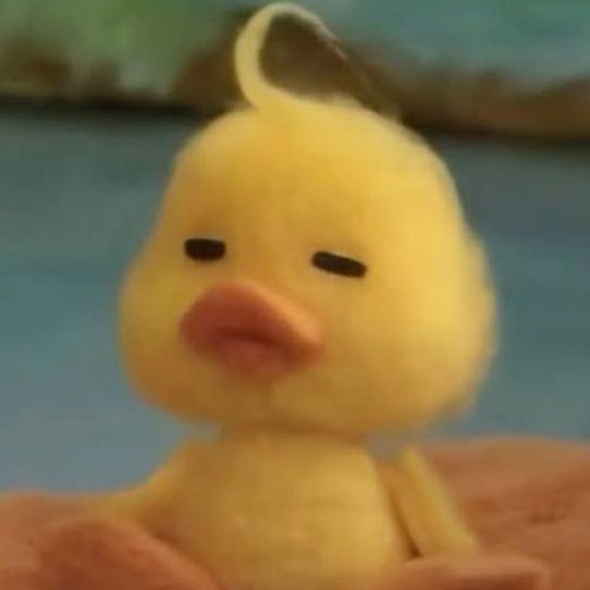 sleptonscene's tweet image. my pouty baby duck

HEAD 2 HEAD SERIES EP7 
#H2HseriesEP7 #javabh