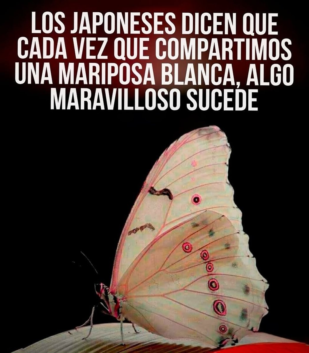 Que así sea ✨✨🙏🏻