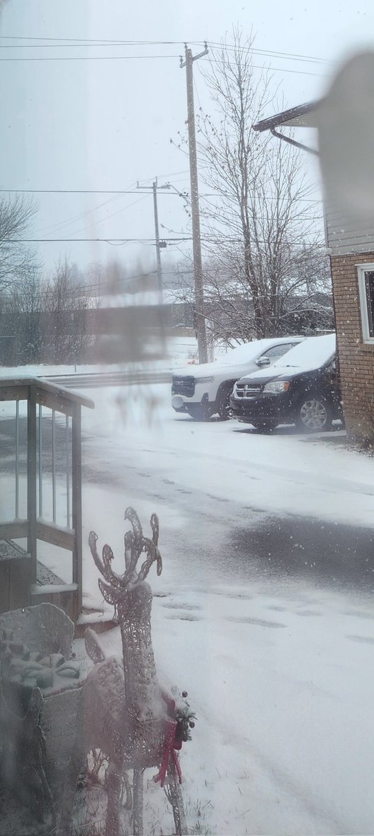 SarahDevs 🇨🇦 tweet media