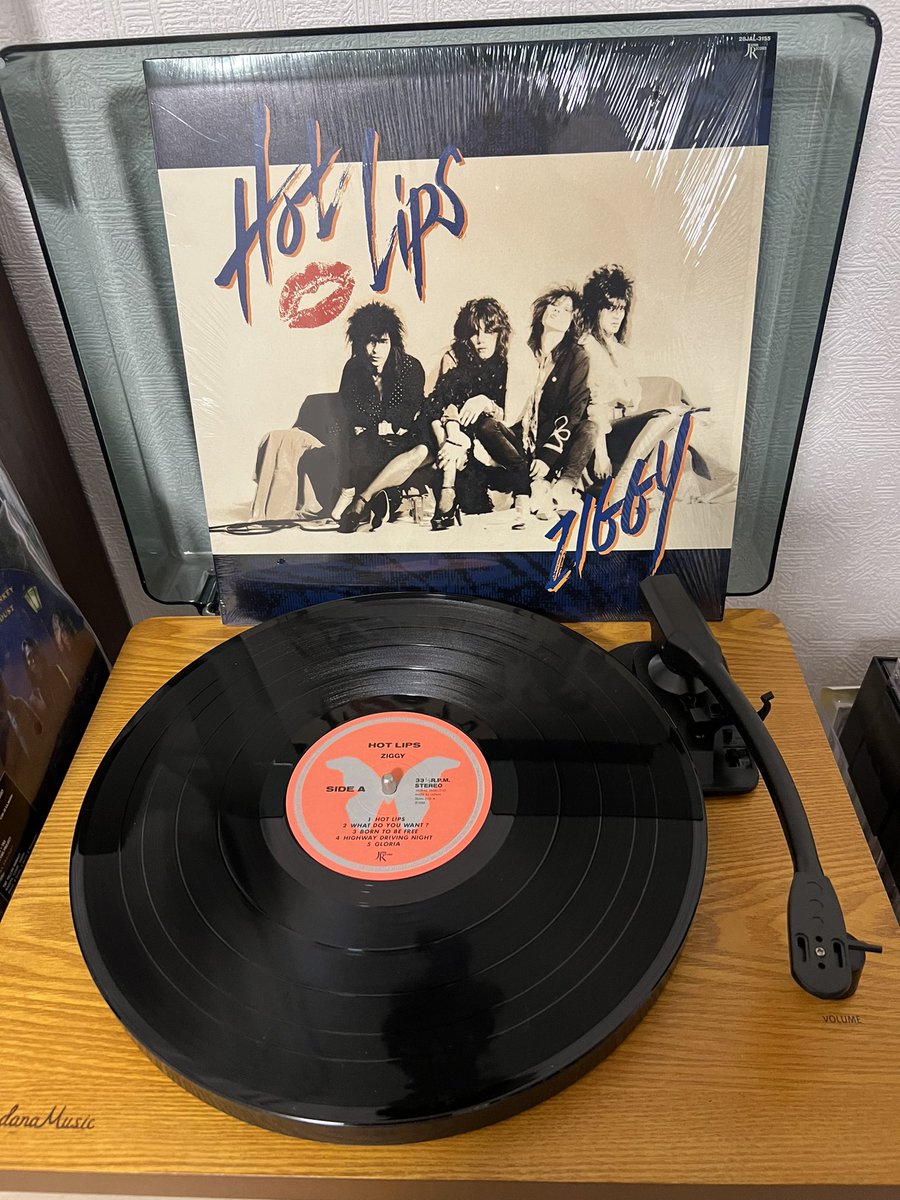 1日1作品レコード紹介 1日目🍀 ZIGGY 「Hot Lips」 ZIGGYで最も好きな