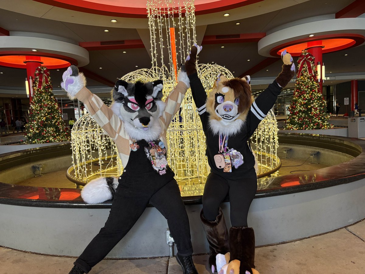 Top Dafloof - MFF 2025 tweet media