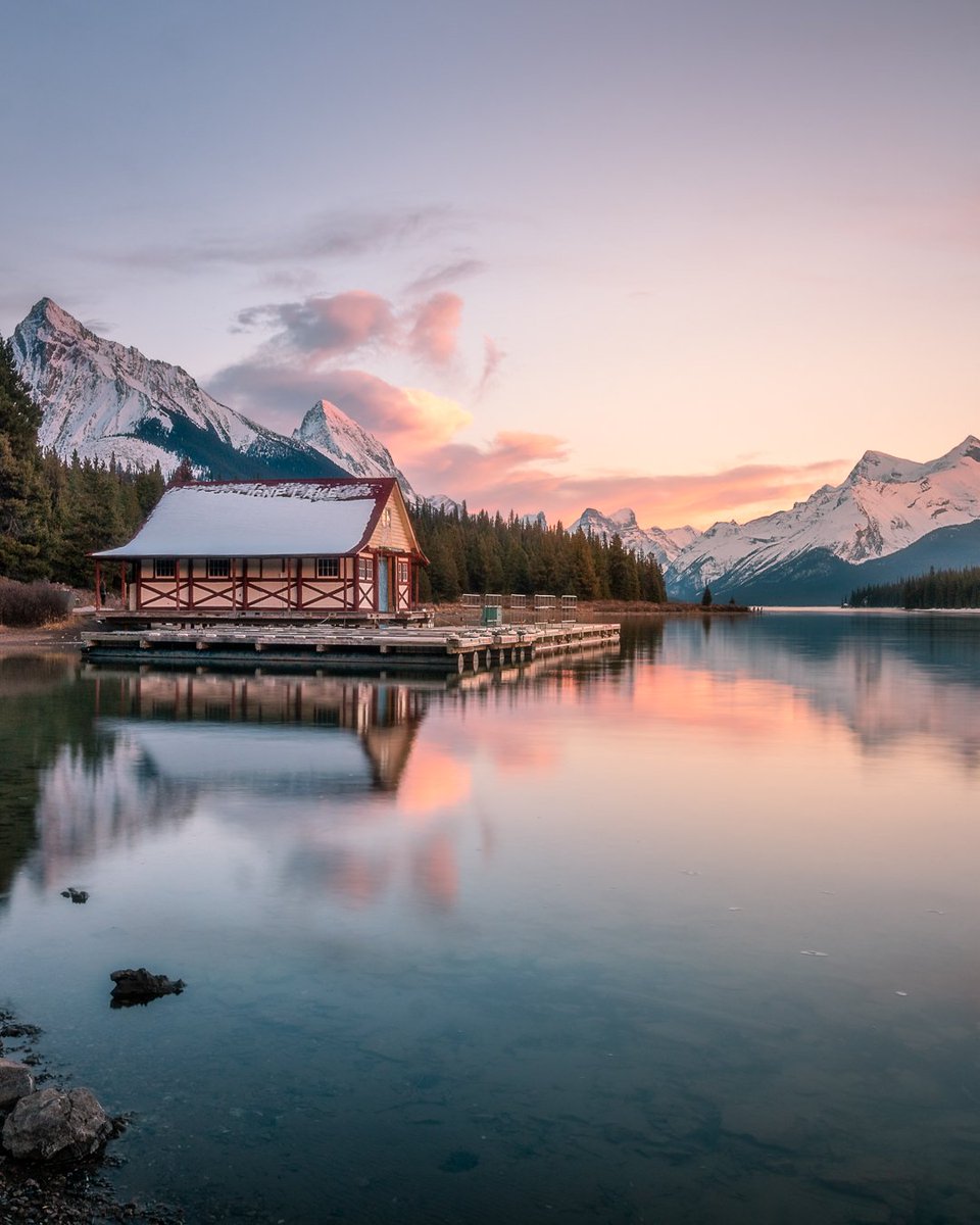 Dan the Man tweet media