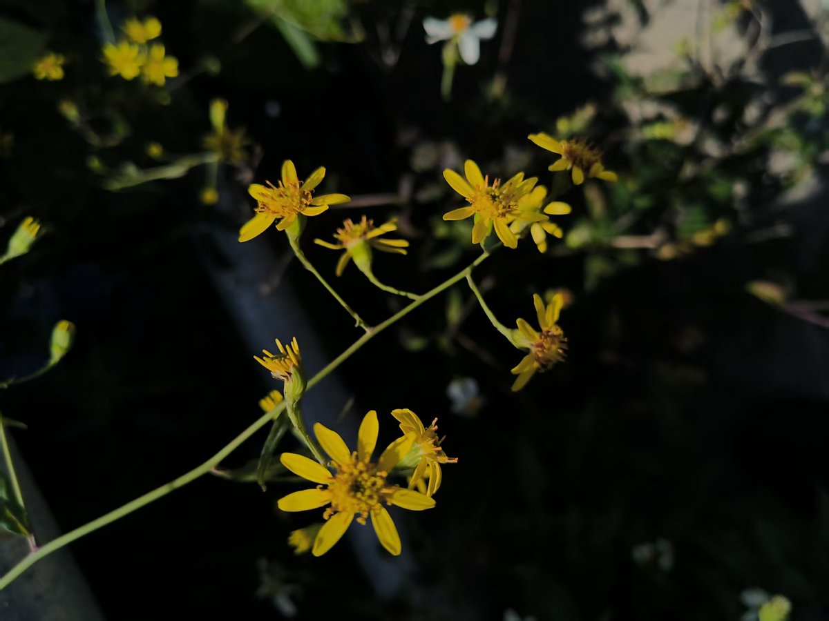 wdr2oversea (@wdr2oversea) on Twitter photo 