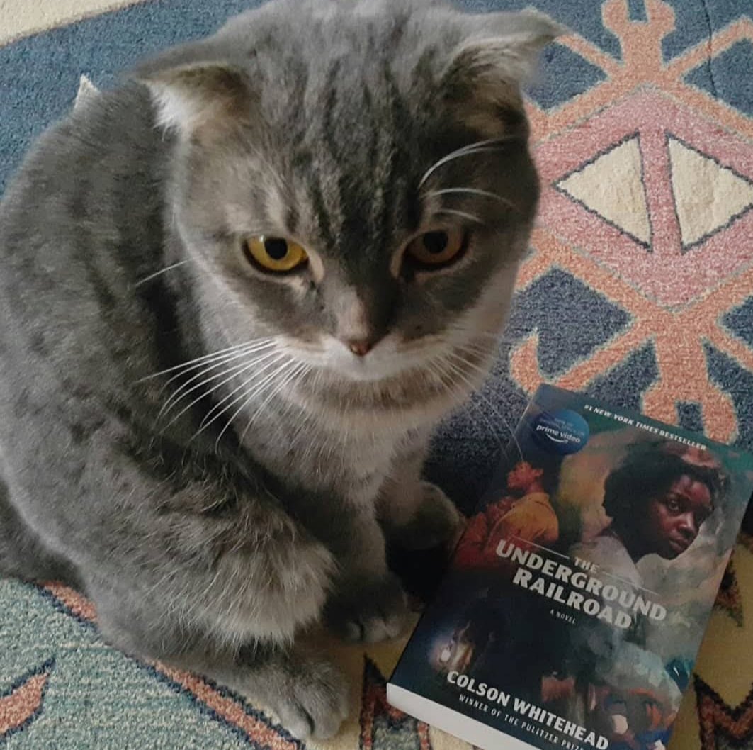 GorNevin's tweet photo. Bademimle Colson Whitehead anımız😊7 Aralık 2021"Sonsuz hizmetin içinde sadece küçücük bir an insan olduğunu" hissedenlerin romanı, bu kelimelerin ne kadar anlatmak istese de yetersiz kaldığı acının, bitmez kederin öyküsü #colsonwhitehead #yeraltıdemiryolu #theundergroundrailroad https://t.co/amGxEPNNQd