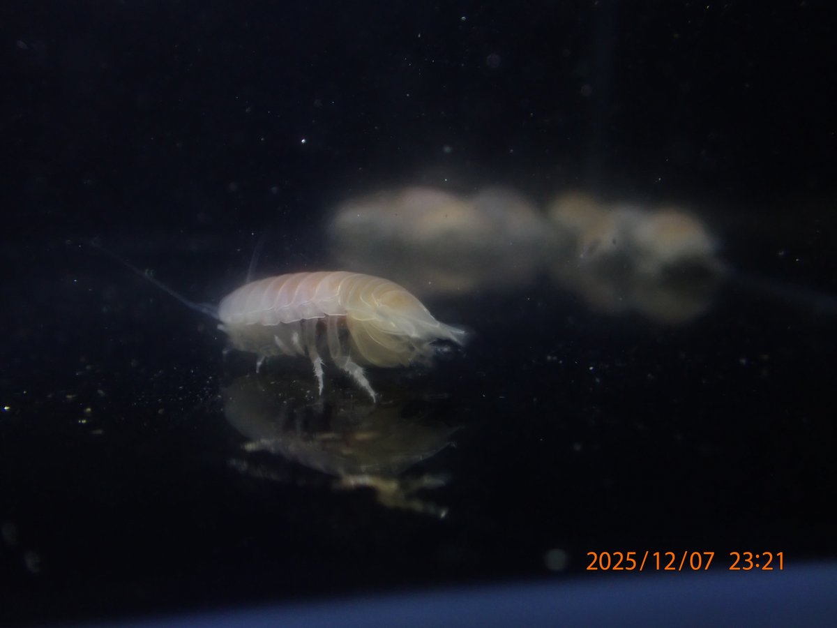 黃彥銘 tweet media