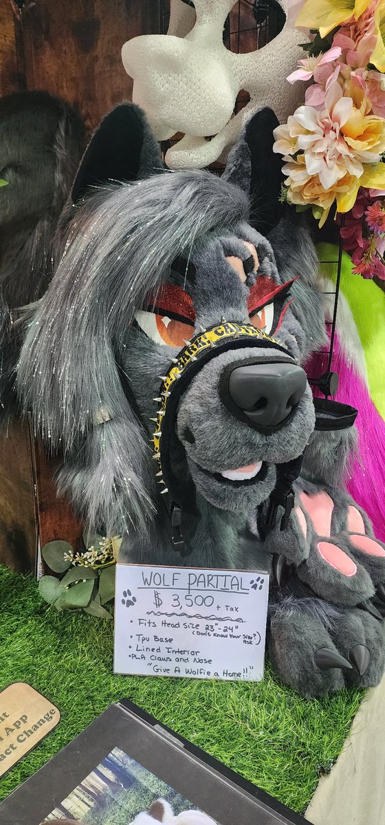 Morning everyone! Last day at MFF and the canine premade is still looking for a home! 
This will probably be my last con for a while (until I hear back from a few) but im cutting down on vending for next year!
 If you want anything from me, now is your chance!

#MFF2025 #fursuit