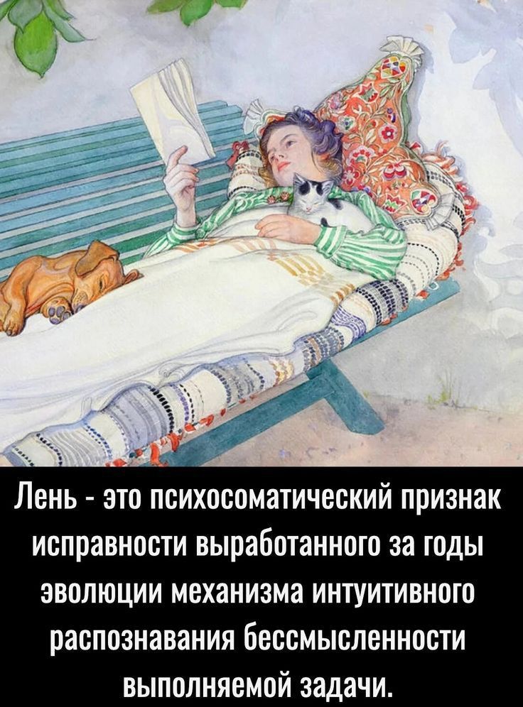 У меня механизм исправен, особенно сегодня