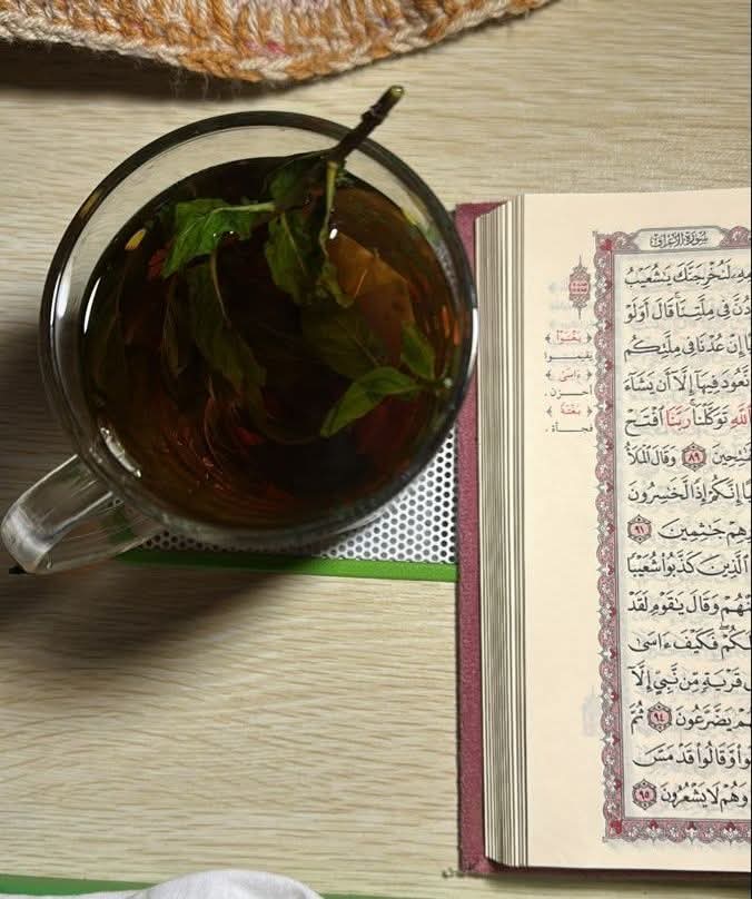 مُصاحبَة القرآن تَسمو بصاحبِها عن سَفاسِفِ الأمور.