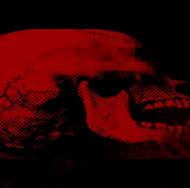 𖦹. . . 𝐎 𝗖𝗢𝐋𝐎𝐒𝗦𝗢 ♱ ⨾𓍢ִ໋ tweet media