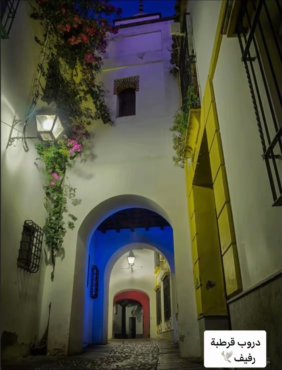 يا لياليها أثرتِ الشّجنا
ورميتِ القلبَ نارًا وعنا
كيفَ يُنسى حُلمُ مجدٍ قد مضى؟
كيف يُمحى ما كتبنا زمنا ؟

كُلّما نامت عيونُ الغافلين
نادت الذكرى بِصوتٍ من حنين
من قصورٍ كانَ يشدو سحرها
أتراهُ اليوم قد عاد أنين

الندى دمعٌ على زهرِ الرُّبا
والهواءُ العذبُ للقلبِ سبا 
ليتَ شمسَ