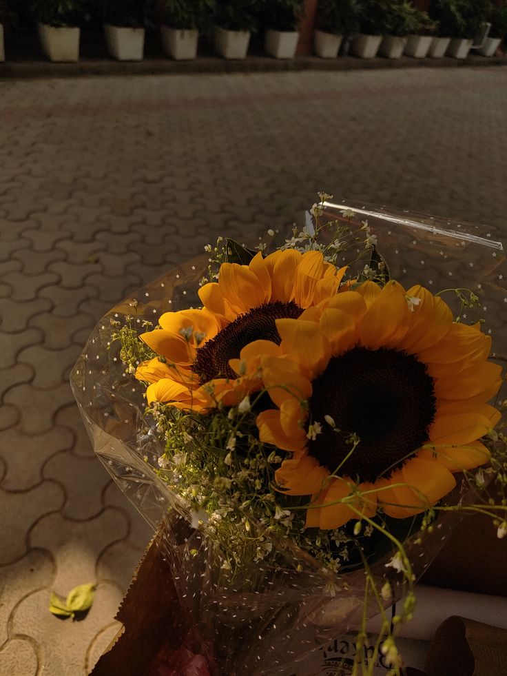 𝐉𝐞𝐫𝐢𝐜𝐡𝐨. tweet media