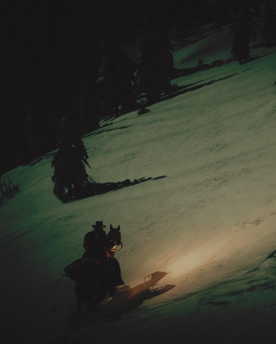 CaptureKnight's tweet image. “You spend nearly a year of your life and sweat, because you have faith in the dream of a fool. 
And what have you got? 
Nothing.”

John Williams- Butcher's Crossing

#RedDeadRedemption2 #TCCLetItGo