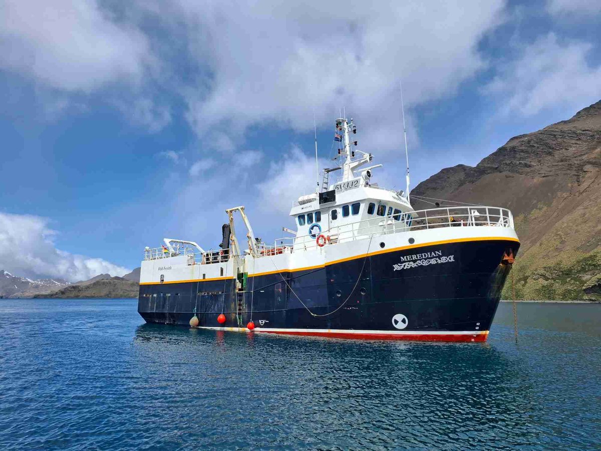 DX World.net tweet media