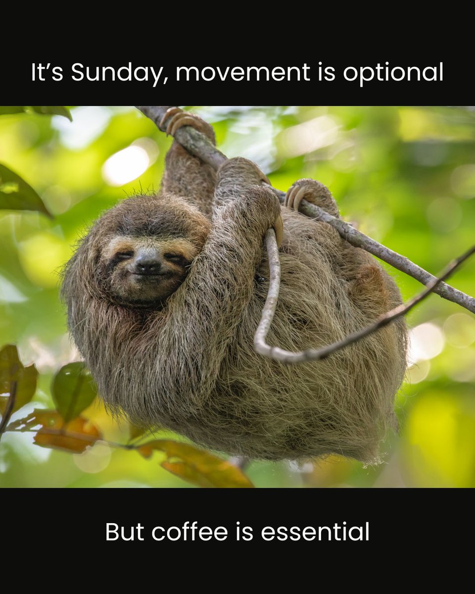 Player One Coffee tweet media