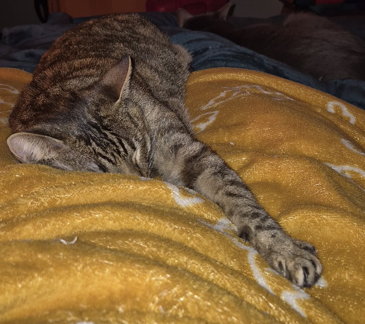 Bon diumenge de relax!!!
Dimarts ja torno a la feina...quina mandra!!!!